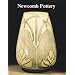 Newcomb Pottery: An Enterprise for Southern Women, 1895-1940