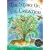 The Story of the Creation (Orchard Paperbacks)