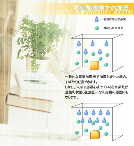Cover image : ミクニ ミスティーガーデン U600-01
