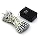 ER CHEN(TM) Indoor and Outdoor Waterproof Battery Operated String Lights on 10M PVC String with Flash and Timer Function (Day White)