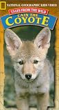 Tales From The Wild: Cain the Coyote [VHS]