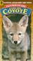 Tales from the Wild:Cain the Coyote [VHS]