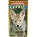 Tales from the Wild:Cain the Coyote [VHS]