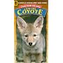 Tales From The Wild: Cain the Coyote [VHS]