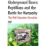 Underground Bases, Reptilians and the Battle for Humanity