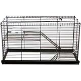 Chew Proof Sm An High Rise