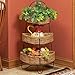Kitchen & Housewares : 3-Tier Half Round Stand