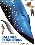 Baleines et dauphins, les mammif�res marins