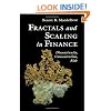 Fractals and Scaling In Finance: Discontinuity, Concentration, Risk