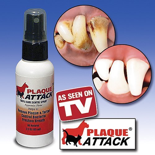 Compare Prices Plaque Attack Spray 2 2 oz by Plaque Attack Pet Supplies