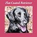 Flat-Coated Retriever 15oz Ceramic Mug