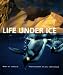 Life Under Ice