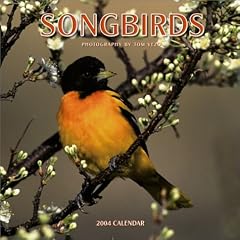 Songbirds Wall Calendar: 2004