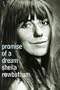 Promise of a Dream: Remembering the Sixties