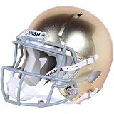 Notre Dame 2011 Speed Authentic Helmet