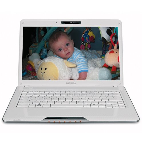 Toshiba Satellite T135D-S1328WH 13.3-Inch Notebook PC (Nova White)