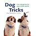 Dog Tricks: Fun and Games for Your Clever Canine