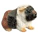 Bullyland Rodents: Abyssinian Guinea Pig