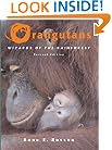 Orangutans: Wizards of the Rain Forest