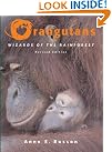 Orangutans: Wizards of...