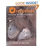 Orangutans: Wizards of the Rain Forest