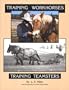 Training Workhorses / Training Teamsters