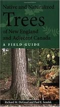 Native and Naturalized Trees of New England and Adjacent Canada: A Field Guide