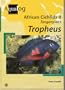 Aqualog: African Cichlids II, Tanganyika I Tropheus