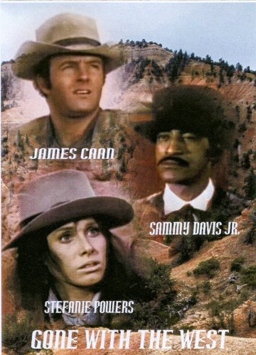 Gone With The West:16x9 Widescreen TV.