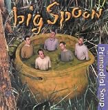 Primordial Soup