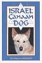 The Israel Canaan Dog