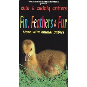 Cute & Cuddly Critters: Fin Feathers & Fur [VHS]