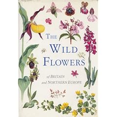 The Wild Flowers of Britain and Northern Europe