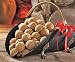 Lightning Nuggets N100SEB Firestarters Super Economy Box of Fire-Starting Nuggets, 100 Count Reviews