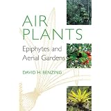 constateur benzing Air Plants: