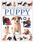 Puppy (How to Look After Your Pet)