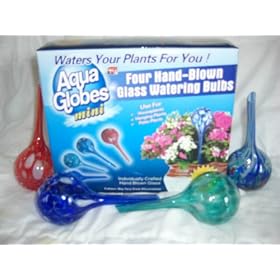 Mini Aqua globes 4 pack plant watering bulbs