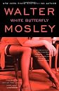 White Butterfly