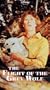 Flight of Grey Wolf [VHS]