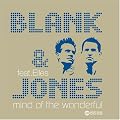 Mind of the Wonderful