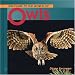 Welcome to the World of Owls