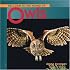 Welcome to the World of Owls (Welcome to the World Series)