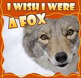 kids books for kindle ages 4-8: I Wish I Were a FOX (Great Picture Book for KIDS) books about wolves ; Animal habitats for KIDS ;  (Ages 4 - 12) (Children Books)