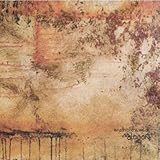 Alogon [Vinyl]
