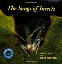 The Songs of Insects