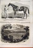 Jonathas Race Horse Fontainbleau Stakes Racecourse 1862
