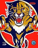 Florida Panthers 2011 Team Logo Poster (8.00 x 10.00)