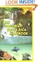 The Southern Costa Rica Handbook
