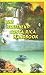 The Southern Costa Rica Handbook