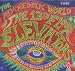 The Psychedelic World of von 13th Floor Elevators - alle Infos